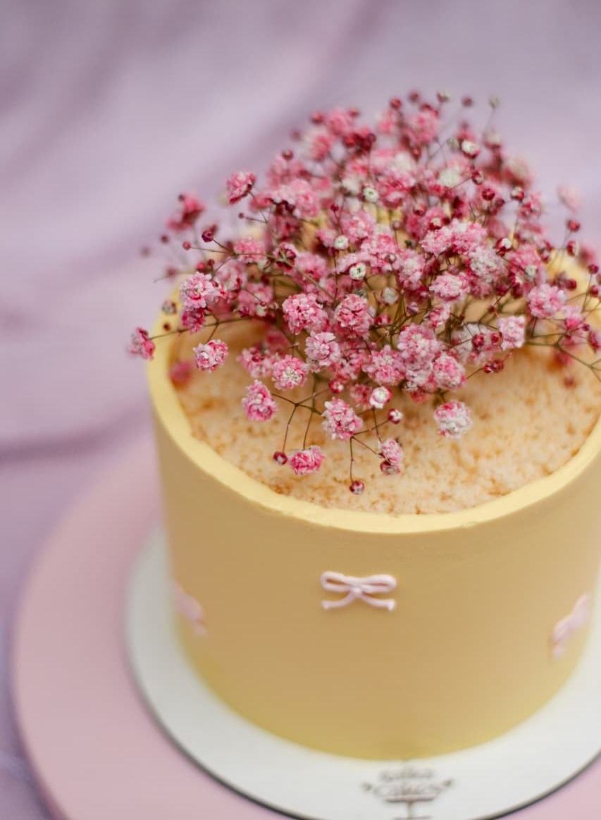 Бенто-торт "Комнатный цветок" Бенто-торт "Комнатный цветок"